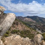 trashed-1762772254-PXL_20251011_105726255.RAW-01.COVER